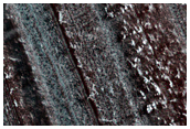 Sustained Bright Patches in North Polar Region

