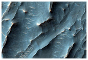 Interesting Landslide Morphology and Phyllosilicate Detections

