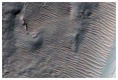 Gully Monitoring
