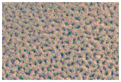 Icy Crater Monitoring
