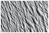 Monitoring Site in Northern Amazonis Planitia
