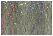 Gully Monitoring

