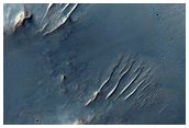 Rim of Lucaya Crater
