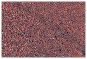 Terrain on Edge of North Polar Erg
