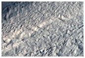 Flow Features in Protonilus Mensae
