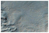 Gully Monitoring
