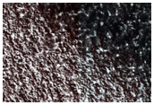Annual Albedo Changes in Abalos Scopuli
