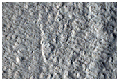 Candidate Impact Site

