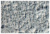 Contact in West Lucus Planum
