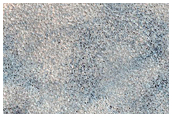 Terrain Sample
