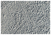 Pitted Cones in Utopia Planitia
