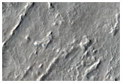 Ridges in Northern Mid-Latitudes
