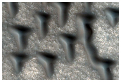 T-Shaped Dunes
