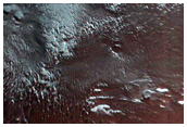 Frost Monitoring
