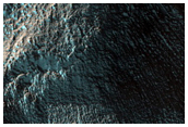 Gully Monitoring
