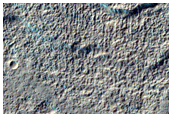 Gully Monitoring
