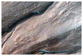 Gully Monitoring
