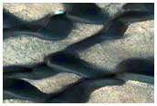 Ice-Dune Interactions in Olympia Undae
