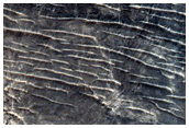 Monitoring Active Dunes in Arabia Terra
