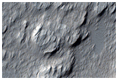 Flow Field
