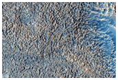 Pitted Ridges in Utopia Planitia
