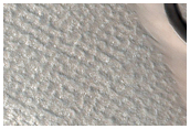 Striped Ground and Dune Monitoring
