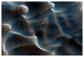 Gullies in Dunes Dubbed Buzzel

