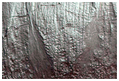 Gully Monitoring
