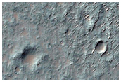 Braided Channel in the Southern Highlands

