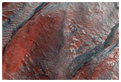 Gully Monitoring
