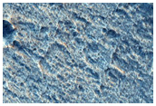 Three Acidalia Planitia Terrain Types in CTX Image