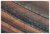 Annual Albedo Changes in Abalos Scopuli
