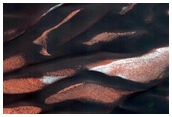 Dune-Ice Interactions in Olympia Undae
