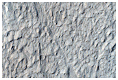 Amazonis Planitia
