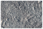 Interaction of Modified Ejecta with Tectonic Features in Ascuris Planum
