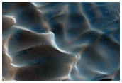 Dunes Dubbed Buzzel
