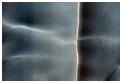 North Polar Gypsum Dunes

