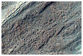 Crater in Northeast Hellas Planitia
