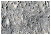 Nilosyrtis Mensae and Associated Landforms
