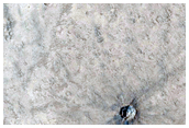 Candidate Recent Impact in Arabia Terra
