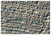 Gully Monitoring
