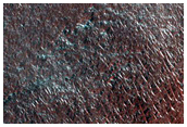 Dao Vallis
