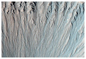Gully Monitoring
