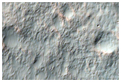 Gully Frost Monitoring
