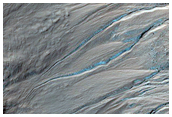 Monitor Frost in Corozal Crater
