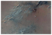 Well-Preserved Impact Crater in Sinus Sabaeus Region
