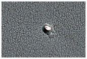 109-Meter Diameter Crater on North Polar Layered Deposits
