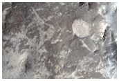 Nilosyrtis Mensae and Associated Landforms
