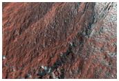 Gully Frost Monitoring
