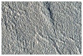 Gully Monitoring
